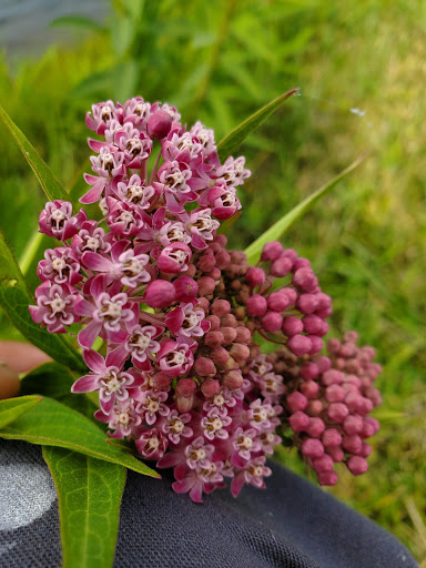 Live Music Venue «Klipsch Music Center», reviews and photos, 12880 E 146th St, Noblesville, IN 46060, USA