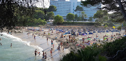 Foto von Cala Font De Sa Cala mit sehr sauber Sauberkeitsgrad