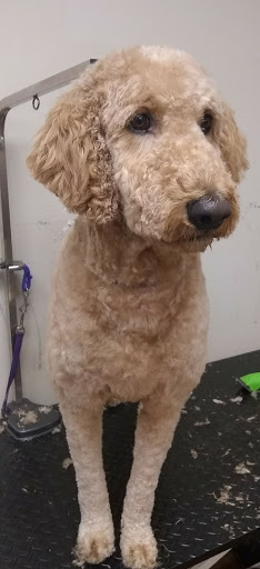 Pet Supply Store «EarthWise Pet Supply - Richardson», reviews and photos, 1310 W Campbell Rd #128, Richardson, TX 75080, USA