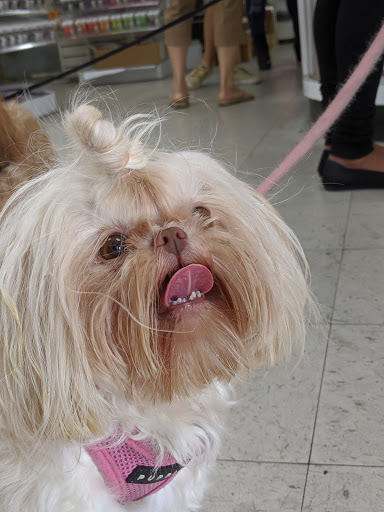 Beauty Supply Store «Starlight Beauty Supply Co», reviews and photos, 1028 Alameda St, Los Angeles, CA 90012, USA