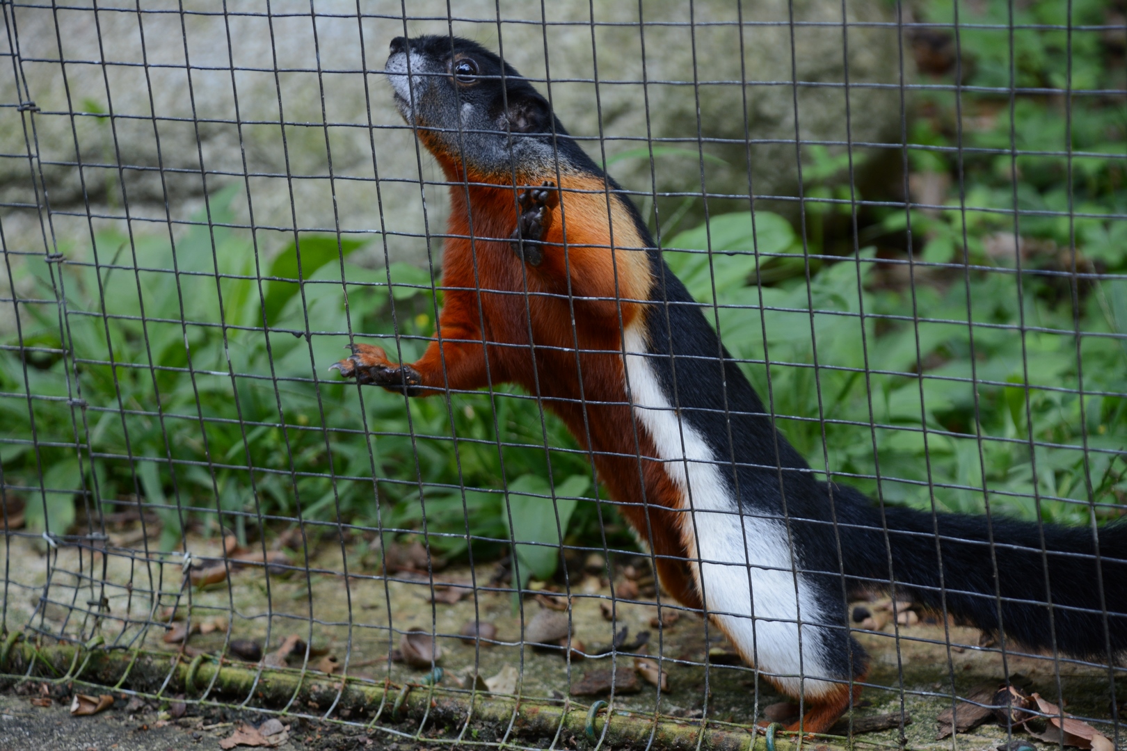 Photo n° 10 de l'avis de Laurent.E fait le 19/09/2023 à 20:20