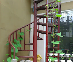 FAM Organic Home photo