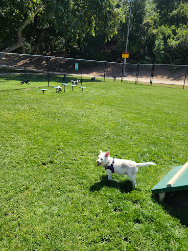 Dog park Pomona