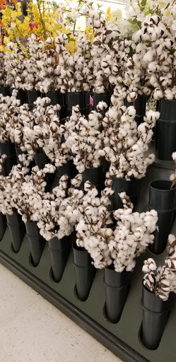 Craft Store «Hobby Lobby», reviews and photos, 3300 W Expy 83 #700, McAllen, TX 78501, USA