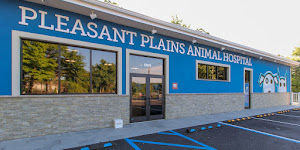 Pleasant Plains Animal Hospital South