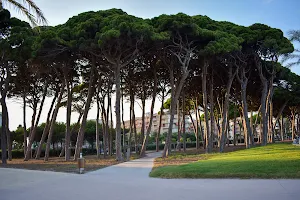 Parc del “Pinar del Perruquet” image