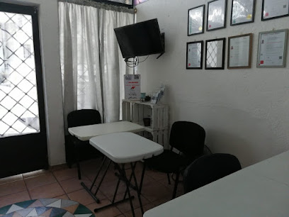 Modelo de negocio
