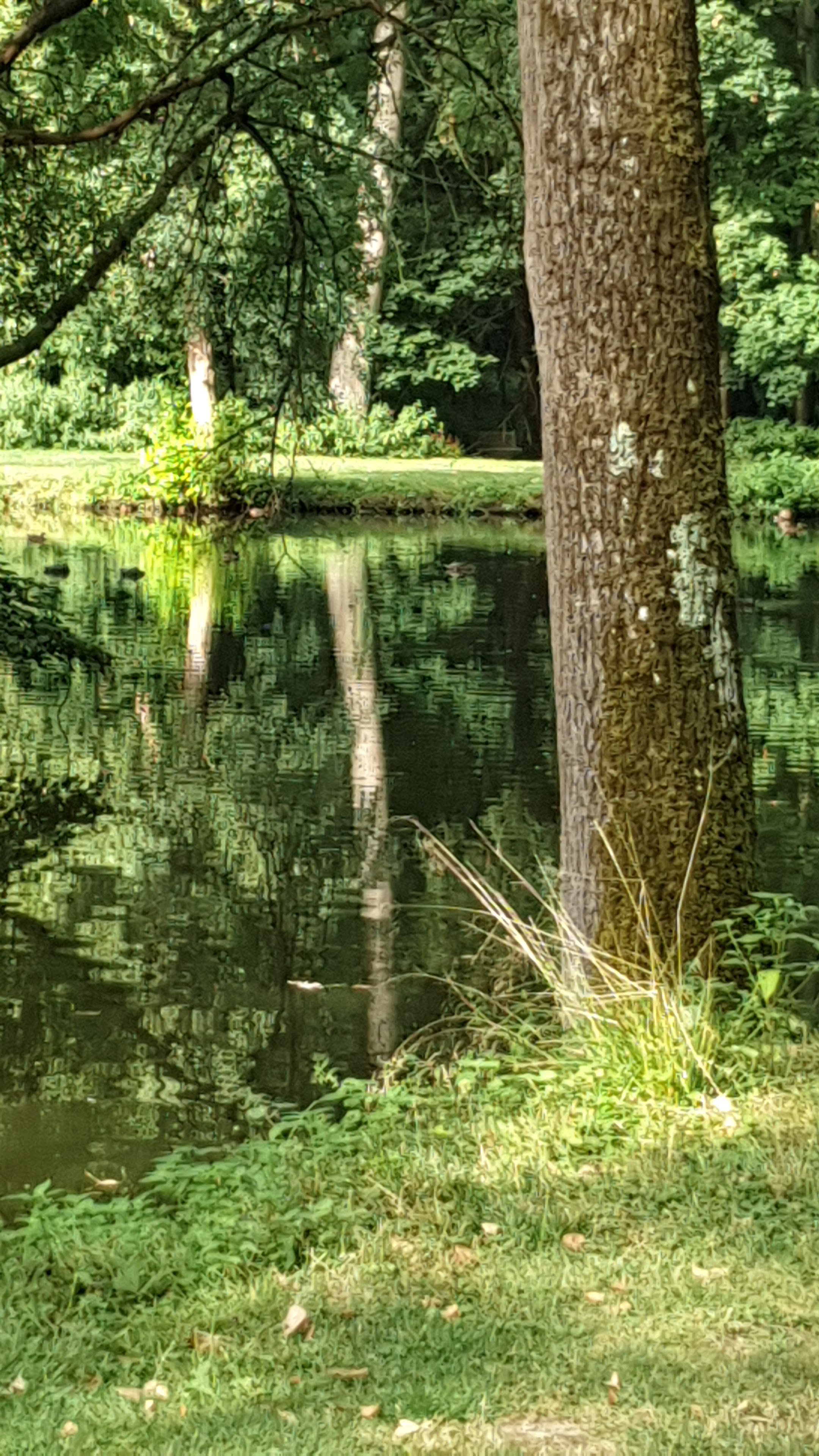 Photo n° 1 de l'avis de Laurent.a fait le 04/08/2019 à 13:54