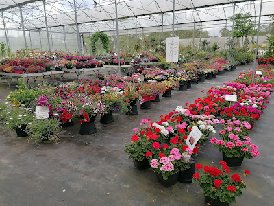 LA JARDINERIE SIMORIN à Le Faouët