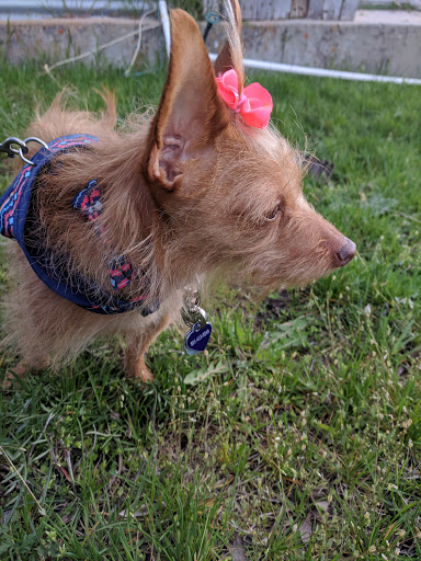 Pet Supply Store «Petco Animal Supplies», reviews and photos, 11639 S Pkwy Plaza Dr, South Jordan, UT 84095, USA