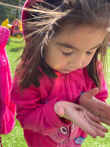 Preschool «Children Central Child Care / Learning Center», reviews and photos, 882 Town Center Dr, Langhorne, PA 19047, USA