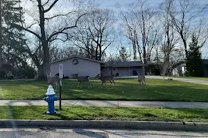 Bay Village Animal Clinic image