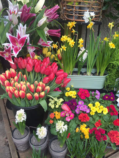 Florist «Goose Hollow Flowers», reviews and photos, 1219 SW 19th Ave, Portland, OR 97205, USA