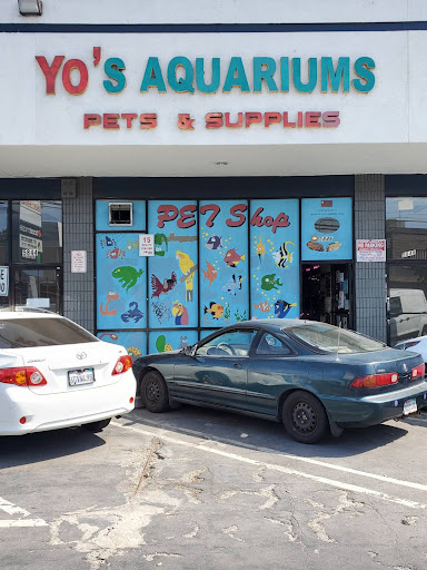 Yo's Aquarium