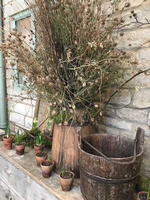Au Jardin D'eden à Calvi
