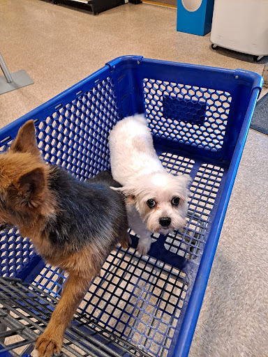 Pet Supply Store «PetSmart», reviews and photos, 261 Spreckels Ave, Manteca, CA 95336, USA