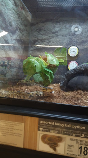Pet Supply Store «Petco Animal Supplies», reviews and photos, 16434 N Marketplace Blvd, Nampa, ID 83651, USA