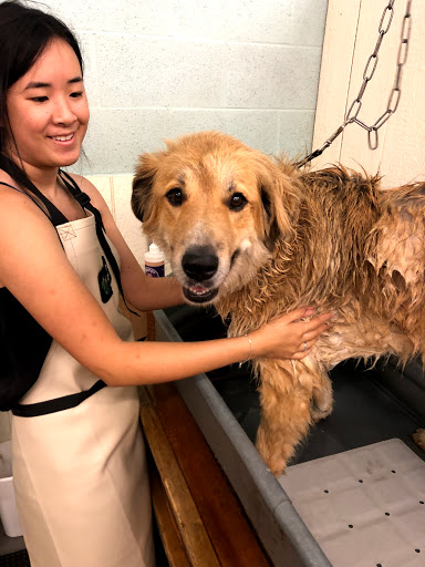 Pet Supply Store «Wags & Whiskers - West Nashville», reviews and photos, 3731 Charlotte Ave, Nashville, TN 37209, USA