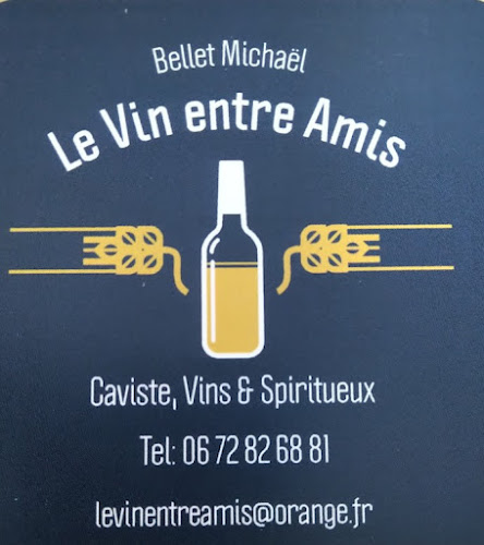 Caviste Le Vin entre Amis Saint-Priest-en-Jarez