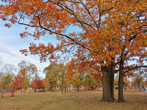Park «Campagnone Common», reviews and photos, 200 Common St, Lawrence, MA 01840, USA