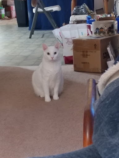 Pet Supply Store «Petco Animal Supplies», reviews and photos, 35 Fort Eddy Rd, Concord, NH 03301, USA