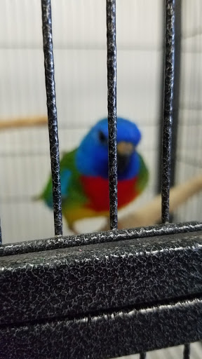 Pet Store «A Family Pet Center», reviews and photos, 6230 N Lockwood Ridge Rd, Sarasota, FL 34243, USA