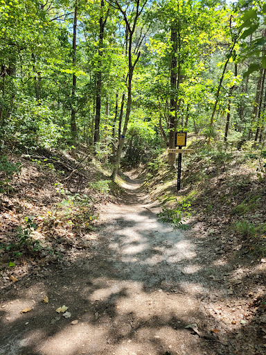 Nature Preserve «Maurice River Bluffs Preserve», reviews and photos, Silver Run Rd, Millville, NJ 08332, USA