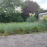 Photo n°1 de l'avis de ROMY. fait le 29/09/2023 à 15:23 sur le  Strandgrün Golf-& Spa Resort Timmendorfer Strand à Timmendorfer Strand