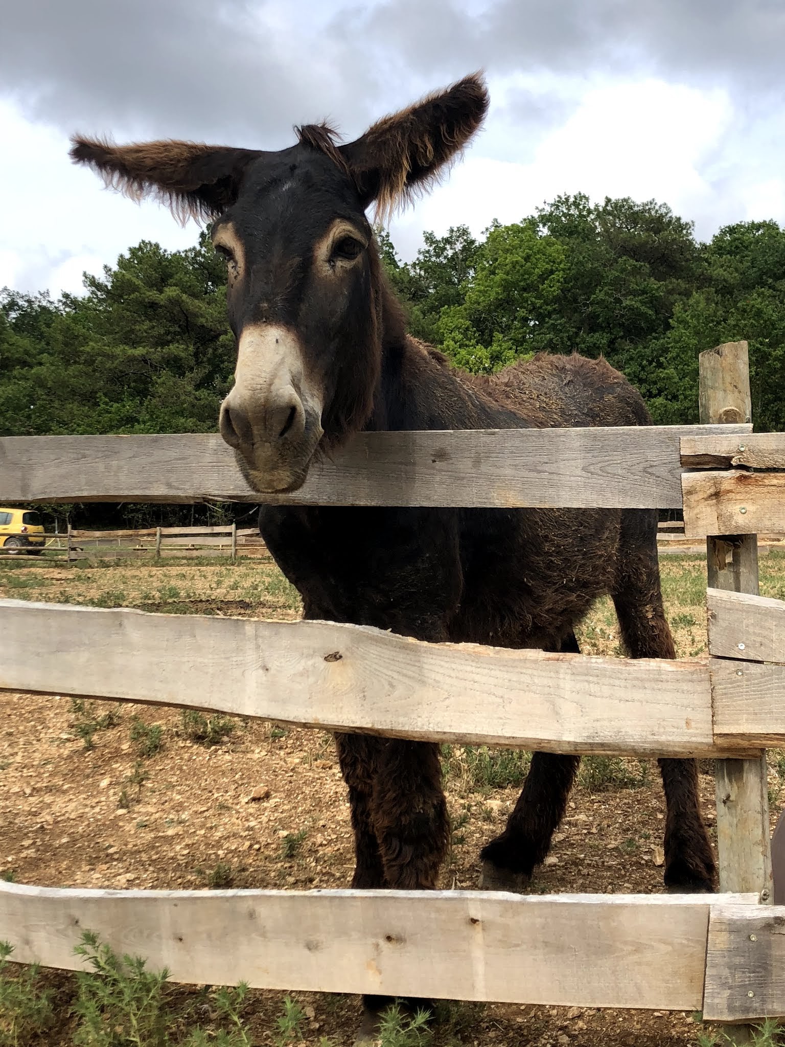 Photo n° 12 de l'avis de Izzie. fait le 26/07/2019 à 19:34