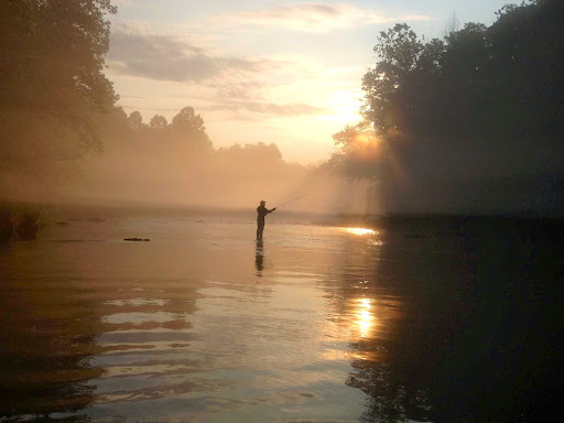 Fishing Store «Albemarle Angler», reviews and photos, 1129 Emmet St N, Charlottesville, VA 22903, USA