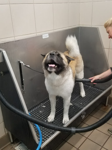 Pet Supply Store «Pet Supplies Plus», reviews and photos, 126 E Main St, Smithtown, NY 11787, USA