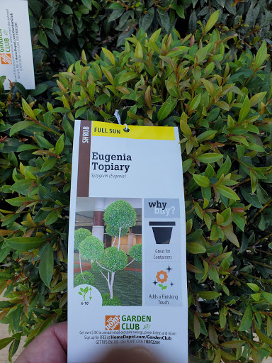 Home Improvement Store «The Home Depot», reviews and photos, 1524 E Brandon Blvd, Brandon, FL 33511, USA