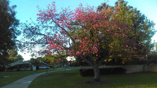 Park «Stoddard Park», reviews and photos, 1901 S 9th St, Anaheim, CA 92802, USA