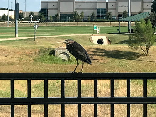 Community Center «Flower Mound Community Activity Center», reviews and photos, 1200 Gerault Rd, Flower Mound, TX 75028, USA