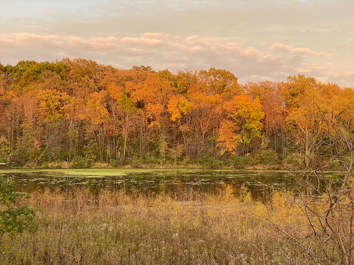 Park «Lake Rebecca Park Reserve», reviews and photos, 9831 Rebecca Park Trail, Rockford, MN 55377, USA