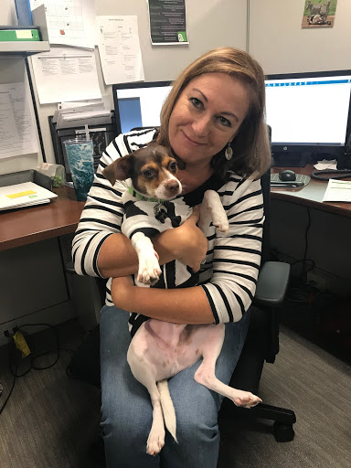 Auto Insurance Agency «Berry Insurance», reviews and photos