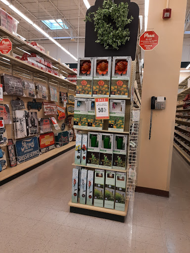 Craft Store «Hobby Lobby», reviews and photos, 539 IL-59, Aurora, IL 60504, USA