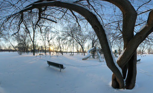 Park «Oak Lawn Park District», reviews and photos, 9401 Oak Park Ave, Oak Lawn, IL 60453, USA