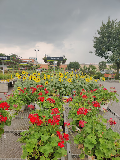 Home Improvement Store «The Home Depot», reviews and photos, 75-09 Woodhaven Blvd, Glendale, NY 11385, USA