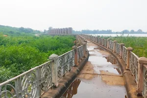 Dhandharoul Dam image