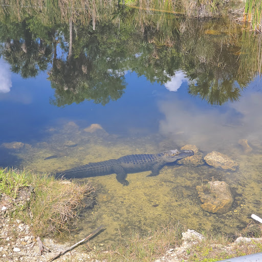 Boat Tour Agency «Everglades Excursions», reviews and photos, 1010 6th Ave S #1, Naples, FL 34102, USA