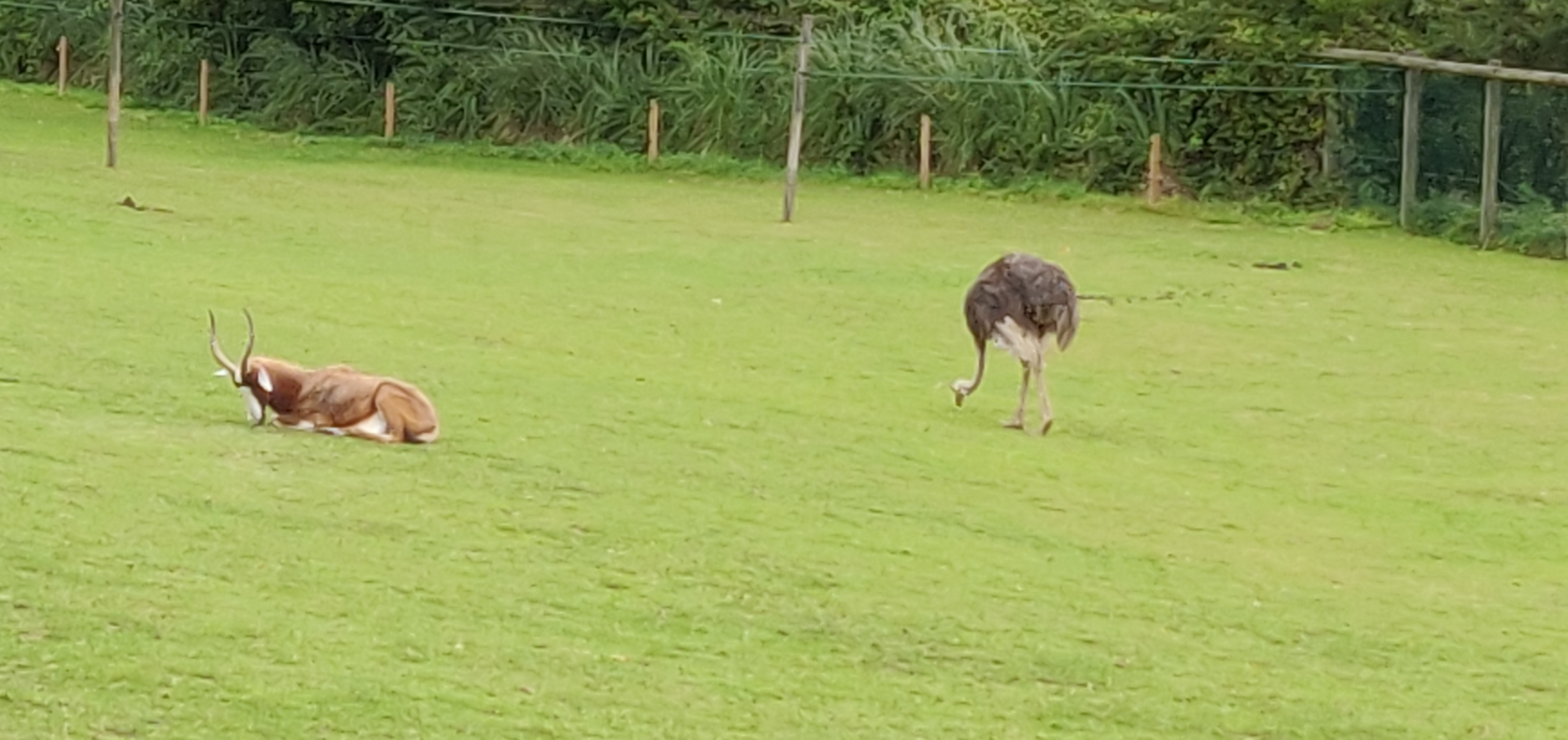 Photo n° 6 de l'avis de CHRISTIAN.A fait le 16/08/2019 à 16:59