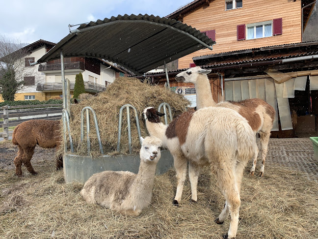 Lama- & Alpakahof Triesenberg - Museum