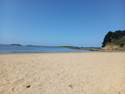 Plage de Mousterian'in fotoğrafı imkanlar alanı