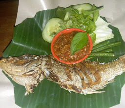Dapoer/Dapur Indonesia photo