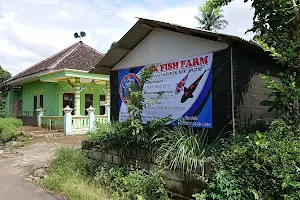 SKK Fish Farm (Sholeh Kedok Koi) image