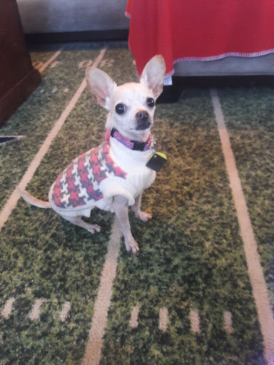 Pet Supply Store «Petco Animal Supplies», reviews and photos, 3194 FM407, Highland Village, TX 75077, USA