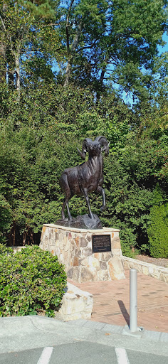 Stadium «Kenan Memorial Stadium», reviews and photos, Stadium Dr, Chapel Hill, NC 27514, USA