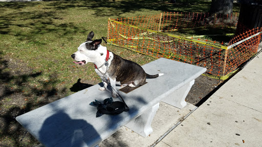 Memorial Park «Memorial Park», reviews and photos, 1620 Riverside Ave, Jacksonville, FL 32204, USA