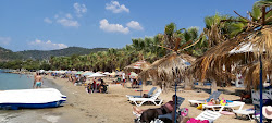 Zeytinli Beach'in fotoğrafı imkanlar alanı